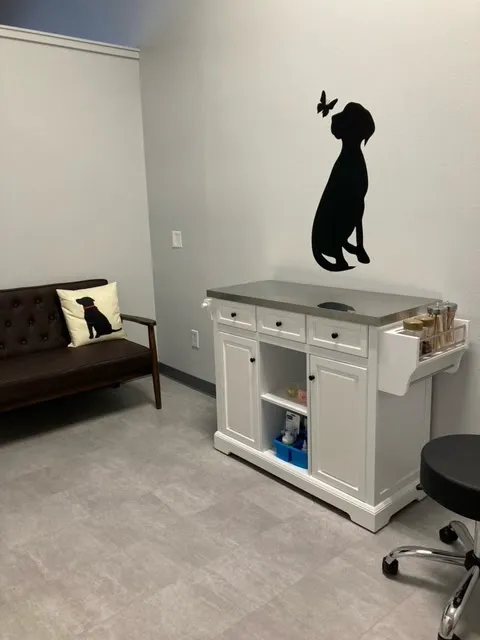 Pet Dental Clinic Picture 2