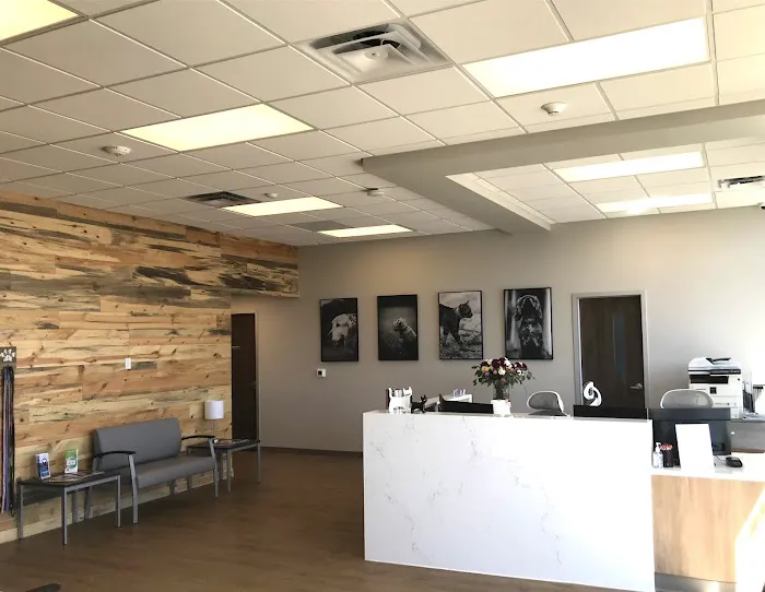 Emergency Pet Clinic of Longmont Picture 3