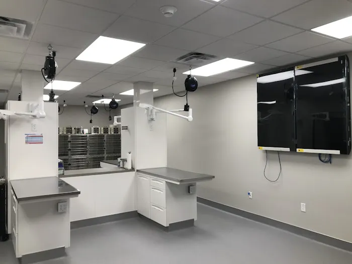 Emergency Pet Clinic of Longmont Picture 2