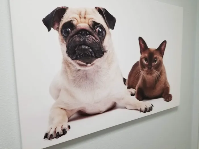 Emergency Pet Clinic of Longmont Picture 5