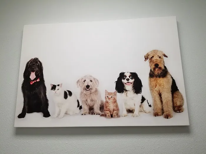 Emergency Pet Clinic of Longmont Picture 4