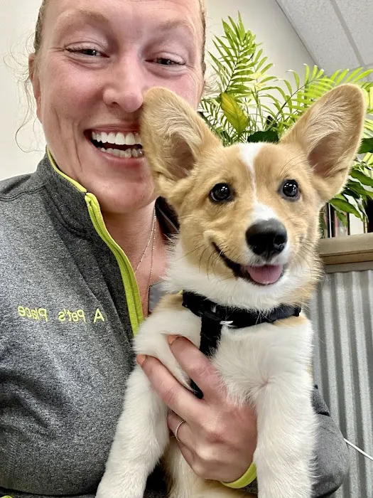 A Pet's Place Animal Hospital Picture 3