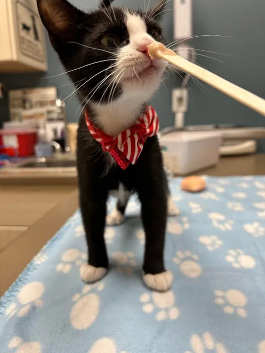 A Pet's Place Animal Hospital Picture 1