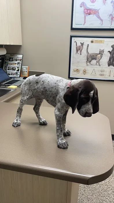 A Pet's Place Animal Hospital Picture 7