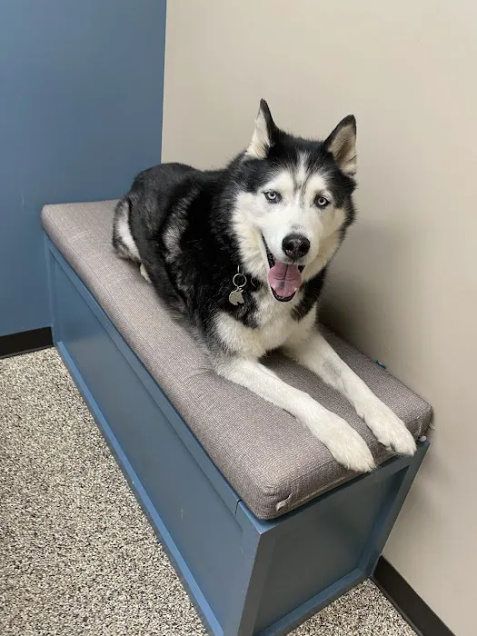 A Pet's Place Animal Hospital Picture 9