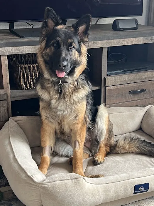 Well Pet Clinic Picture 4