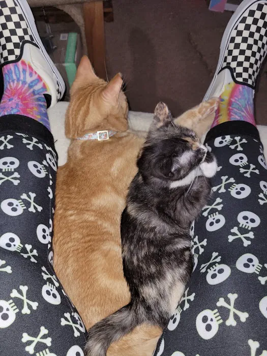 Well Pet Clinic Picture 8
