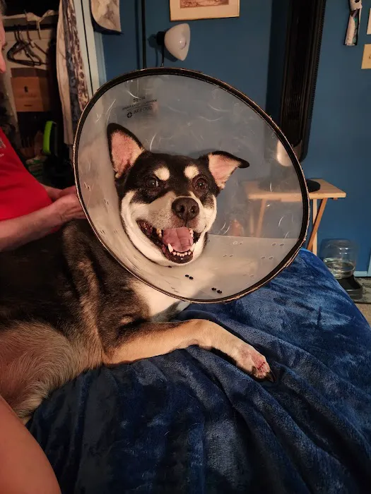 Banfield Pet Hospital Picture 7
