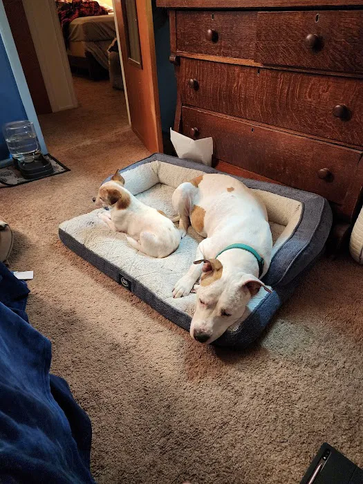 Banfield Pet Hospital Picture 6