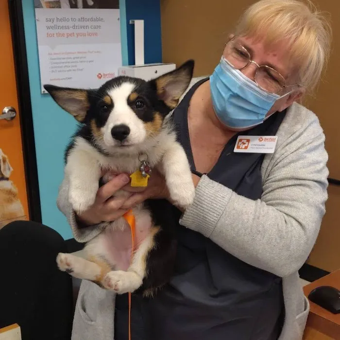 Banfield Pet Hospital Picture 9