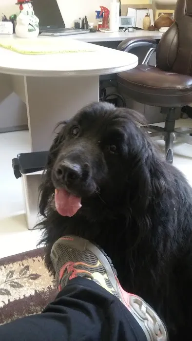 Chaparral Animal Health Center Picture 3