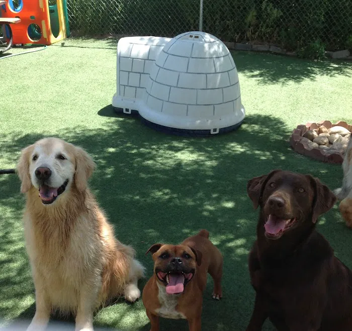 Longs Peak Animal Hospital Picture 4
