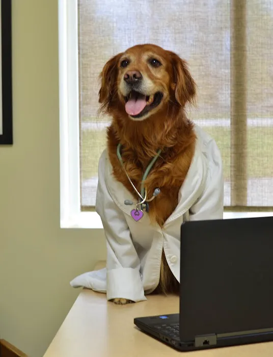Longs Peak Animal Hospital Picture 5