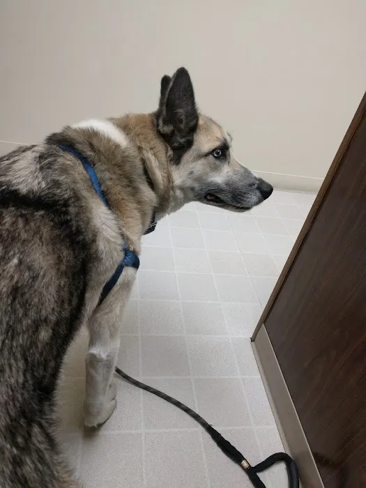 Nelson Road Veterinary Clinic Picture 1