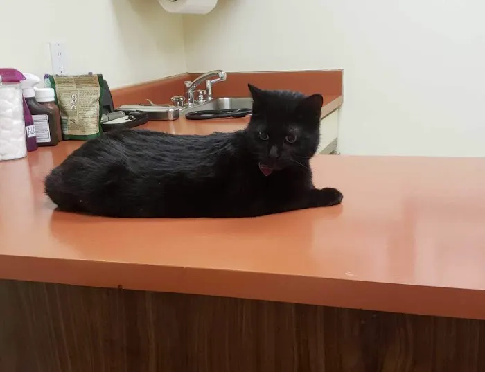 Nelson Road Veterinary Clinic Picture 4