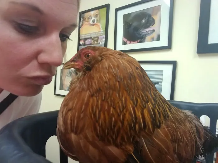 Nelson Road Veterinary Clinic Picture 7