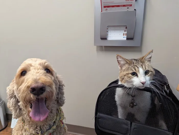 Left Hand Animal Hospital Picture 6