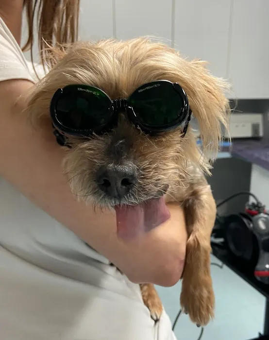 Indian Peaks Veterinary Hospital Picture 1