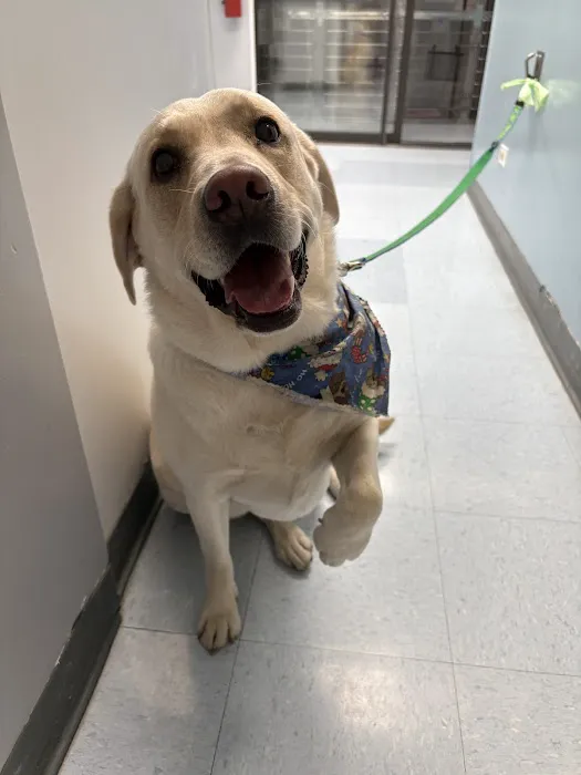 Indian Peaks Veterinary Hospital Picture 6