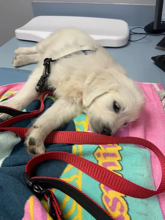 Indian Peaks Veterinary Hospital Picture 5