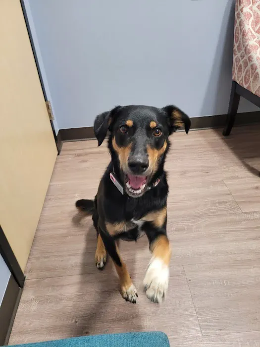 Clover Basin Animal Hospital Picture 1