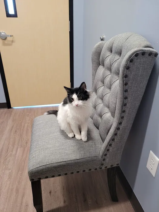 Clover Basin Animal Hospital Picture 4