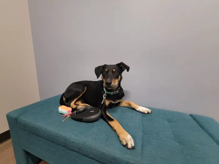 Clover Basin Animal Hospital Picture 5