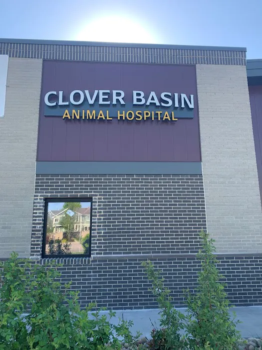 Clover Basin Animal Hospital Picture 3