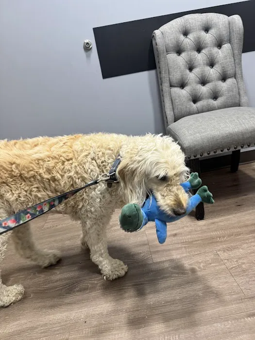 Clover Basin Animal Hospital Picture 6