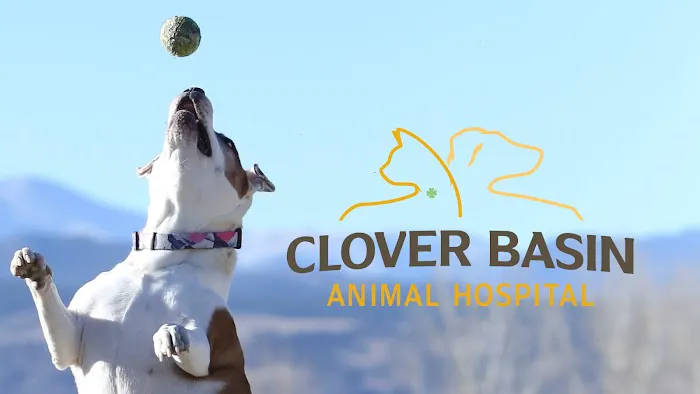 Clover Basin Animal Hospital Picture 10