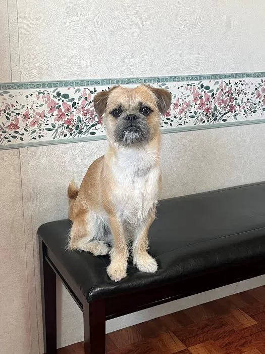 Humane Society of Boulder Valley Veterinary Hospital Picture 2