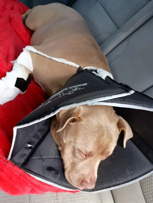 Humane Society of Boulder Valley Veterinary Hospital Picture 8