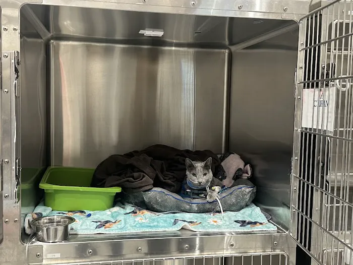 Colorado Animal Specialty & Emergency (CASE) Picture 5