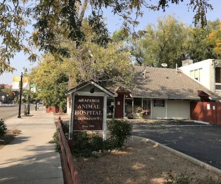 Arapahoe Animal Hospital - Downtown