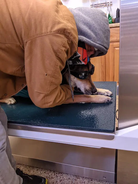 Arapahoe Animal Hospital - Downtown Picture 5