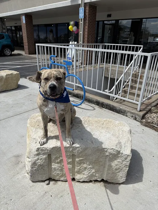Pearl Street Animal Hospital Picture 4