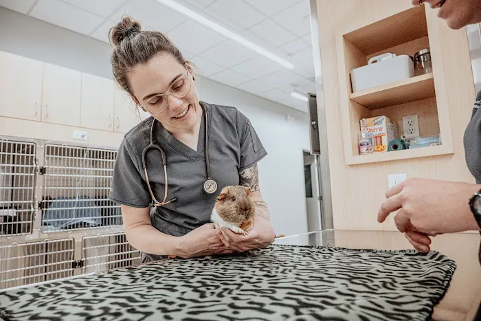 Pearl Street Animal Hospital Picture 6
