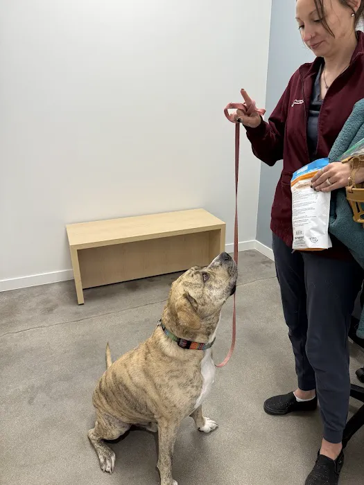 Pearl Street Animal Hospital Picture 7