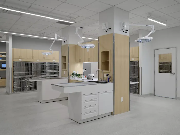 Pearl Street Animal Hospital Picture 8