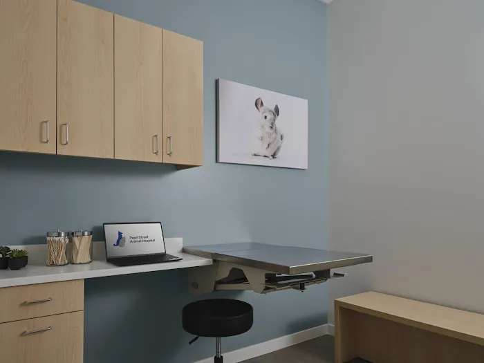 Pearl Street Animal Hospital Picture 10