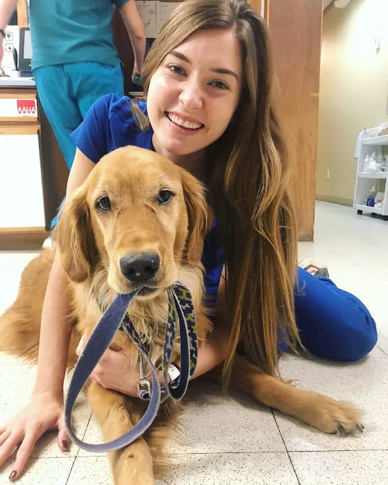 North Boulder Companion Animal Hospital Picture 1