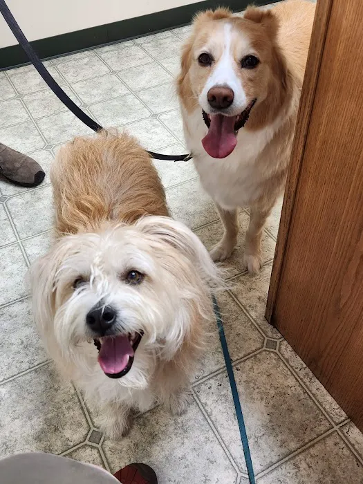 All Paws Veterinary Clinic Picture 2