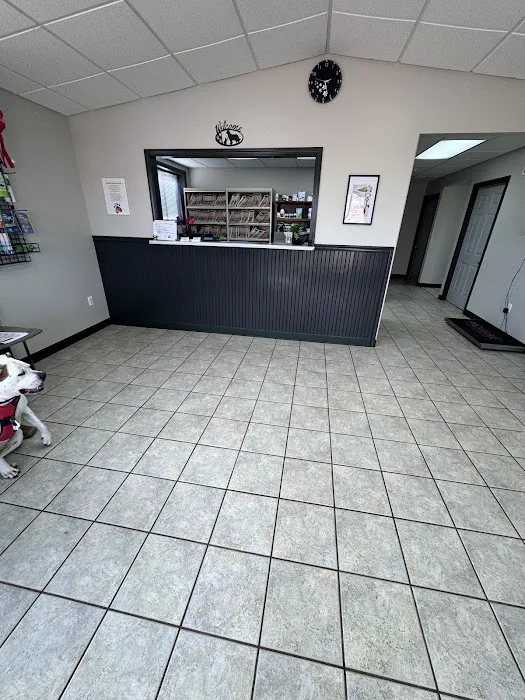 All Paws Veterinary Clinic Picture 1