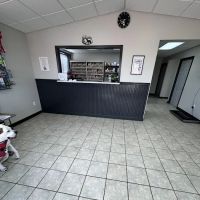 All Paws Veterinary Clinic ico