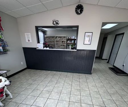 All Paws Veterinary Clinic