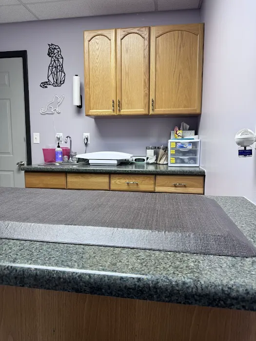 All Paws Veterinary Clinic Picture 6
