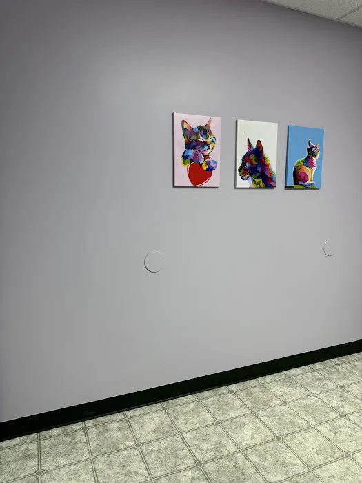 All Paws Veterinary Clinic Picture 9