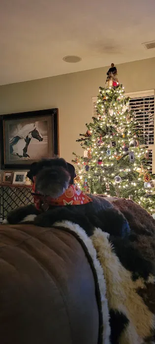 All Paws Veterinary Clinic Picture 10