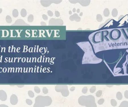 Crow Hill Veterinary Hospital