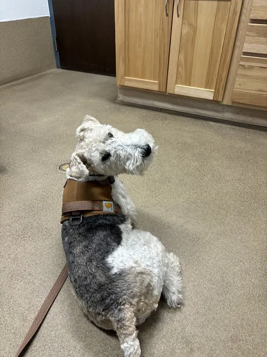 Boulder Veterinary Hospital Picture 6